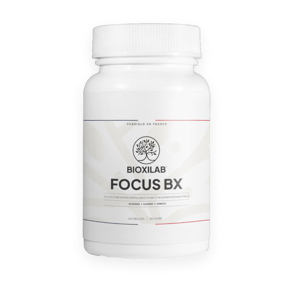 focus-bx